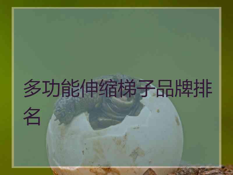 多功能伸缩梯子品牌排名