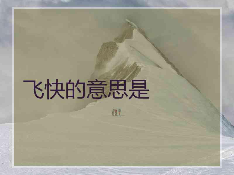 飞快的意思是