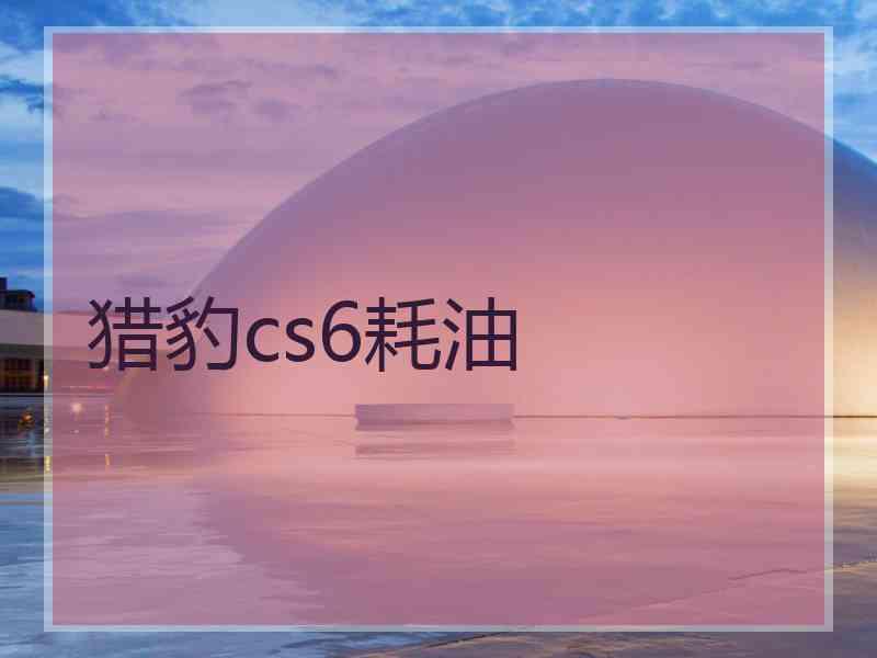 猎豹cs6耗油