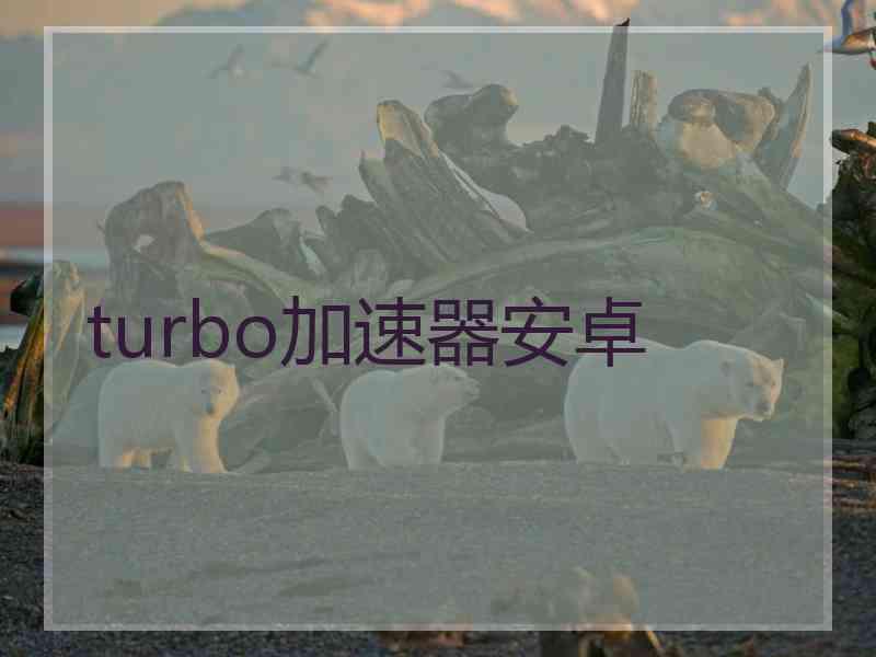 turbo加速器安卓