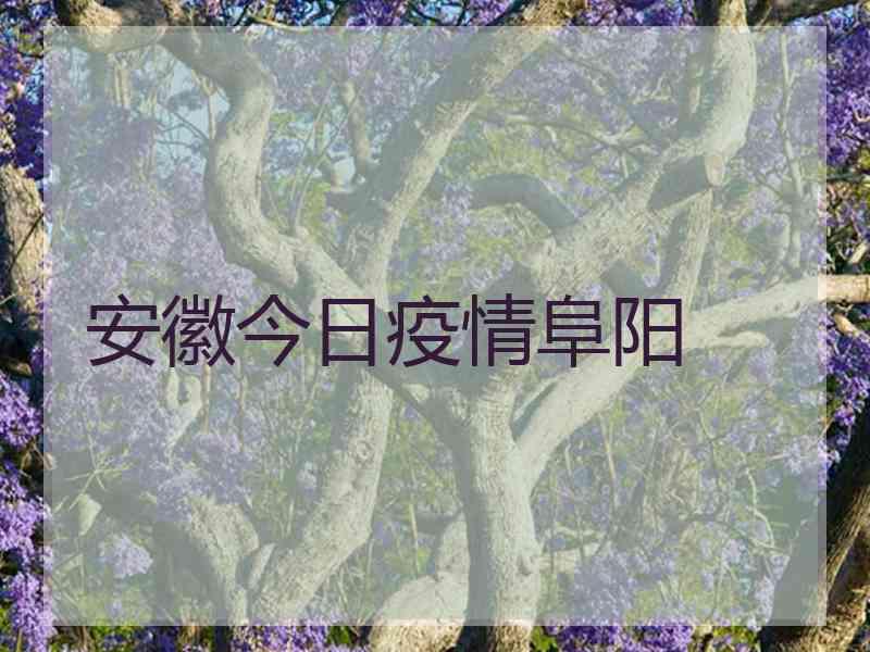安徽今日疫情阜阳