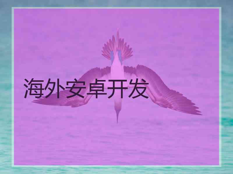 海外安卓开发