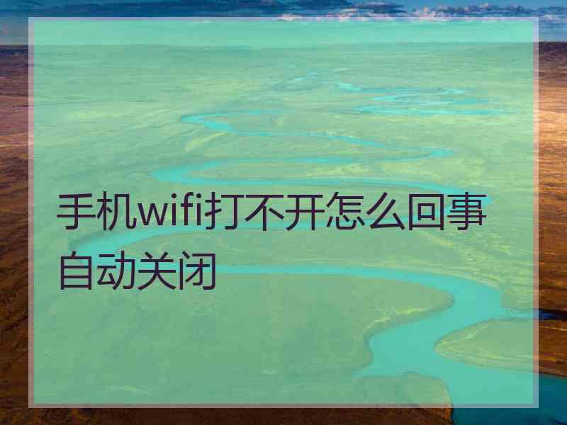 手机wifi打不开怎么回事自动关闭