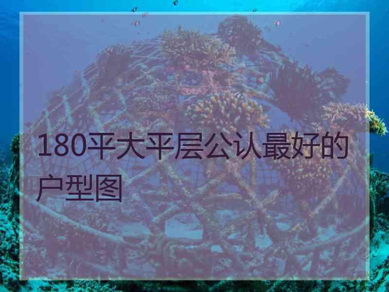 180平大平层公认最好的户型图