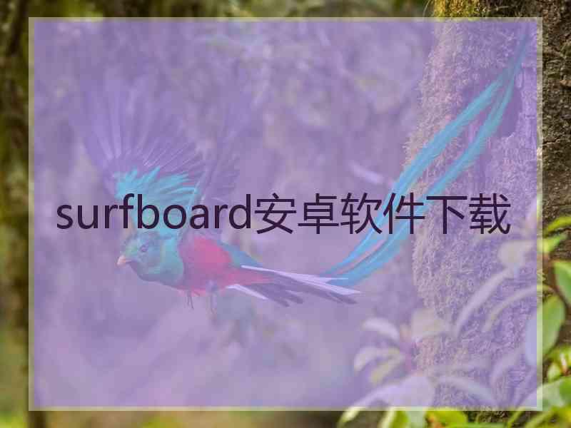 surfboard安卓软件下载