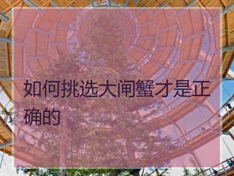 如何挑选大闸蟹才是正确的