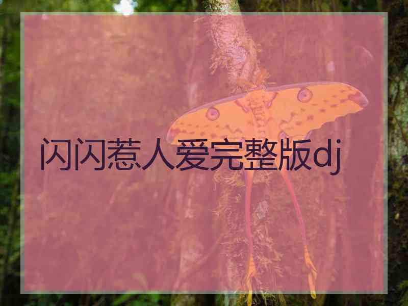 闪闪惹人爱完整版dj