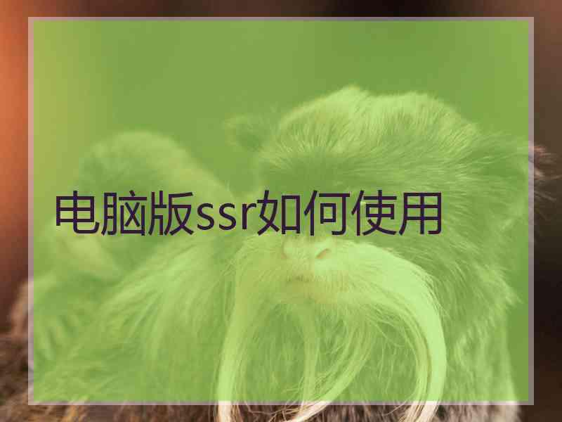 电脑版ssr如何使用