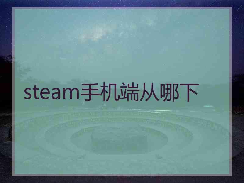 steam手机端从哪下