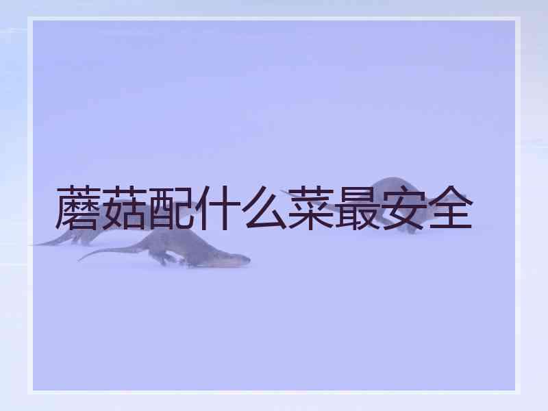 蘑菇配什么菜最安全