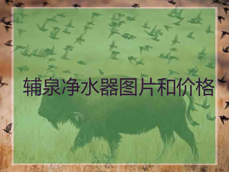 辅泉净水器图片和价格