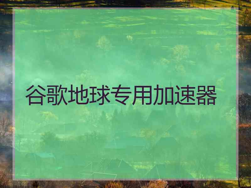 谷歌地球专用加速器