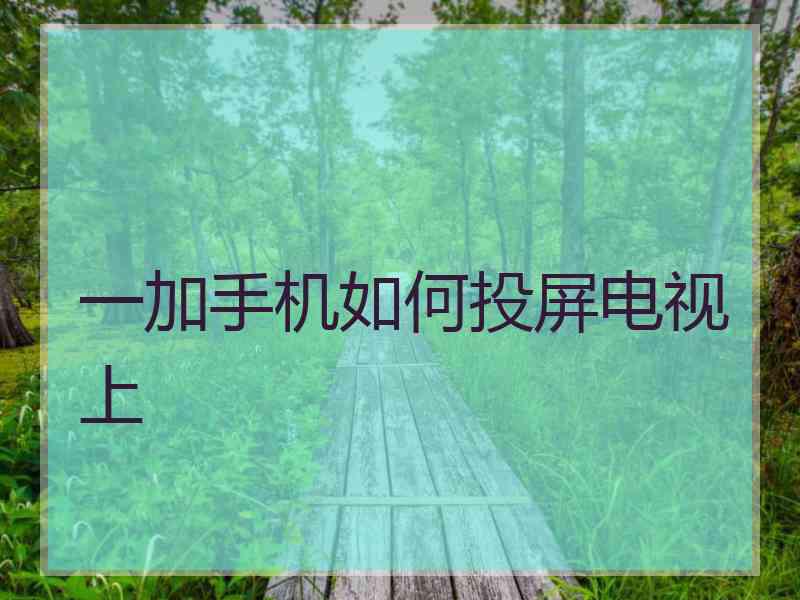 一加手机如何投屏电视上
