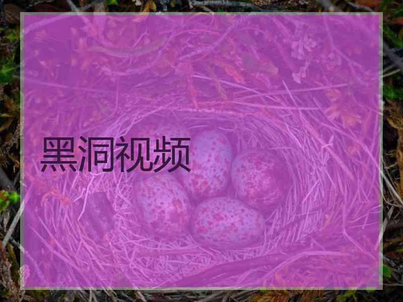 黑洞视频