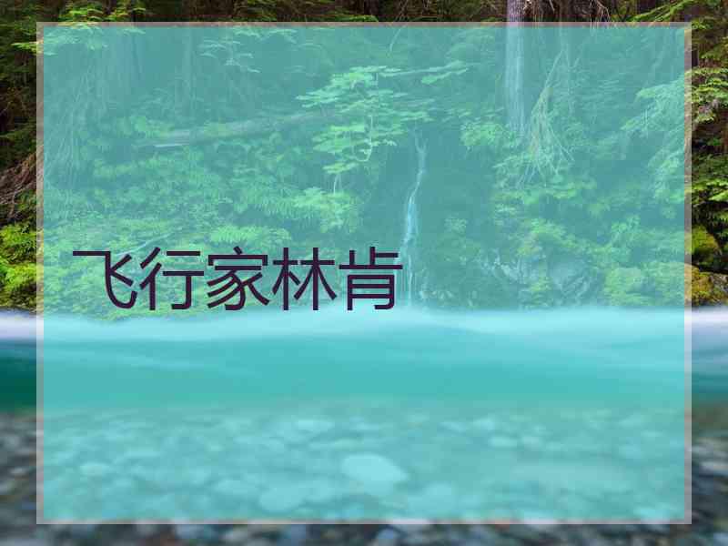 飞行家林肯