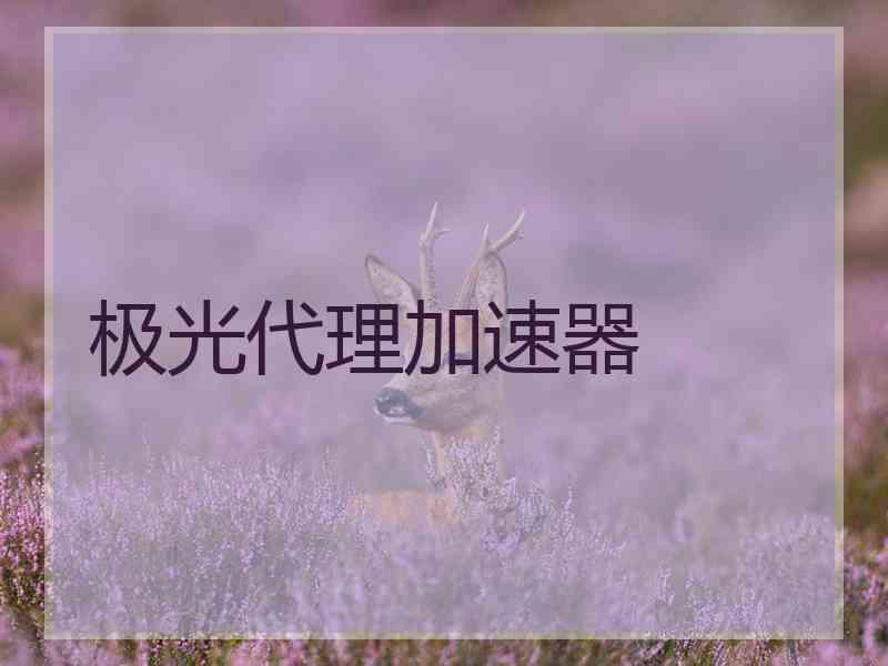 极光代理加速器