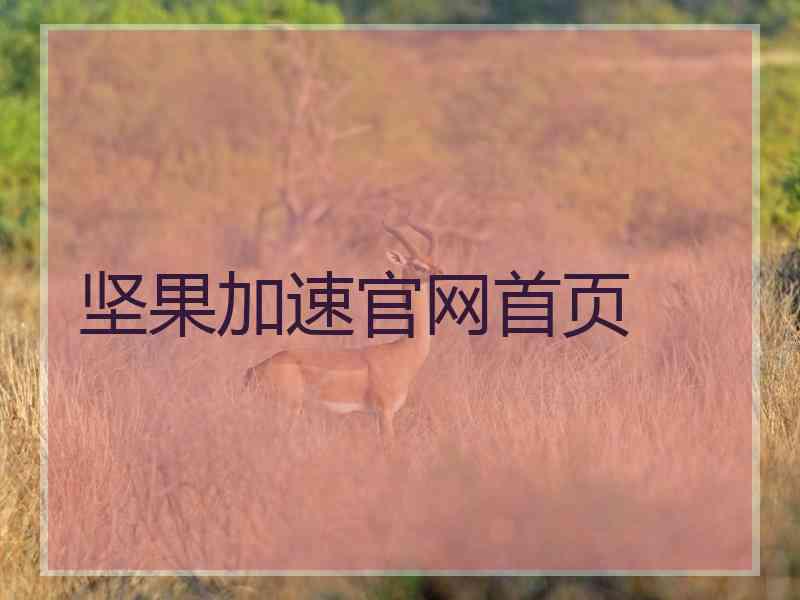 坚果加速官网首页