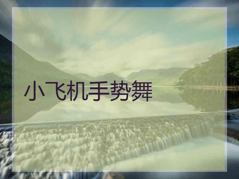 小飞机手势舞