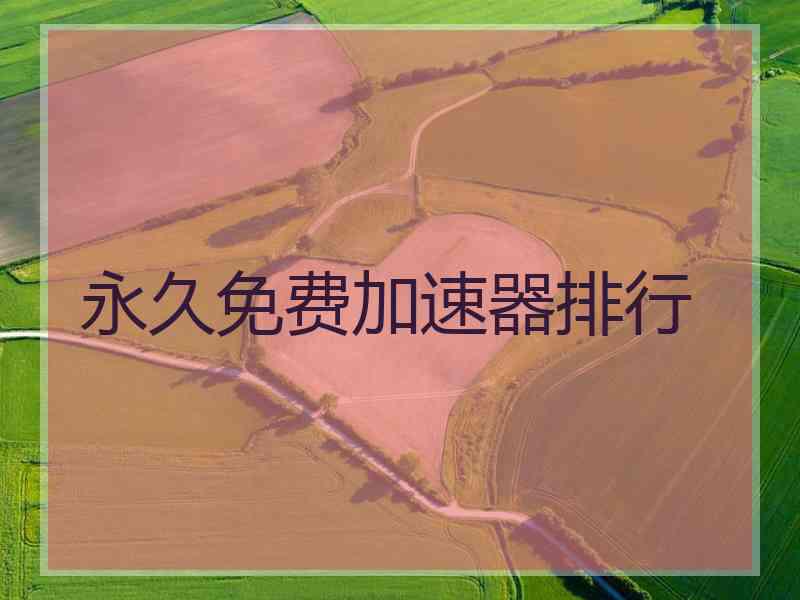 永久免费加速器排行