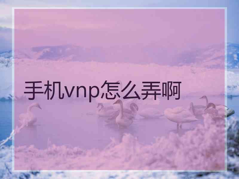 手机vnp怎么弄啊