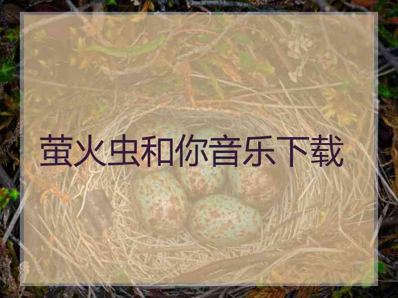 萤火虫和你音乐下载