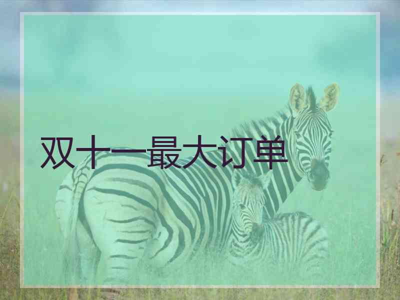 双十一最大订单