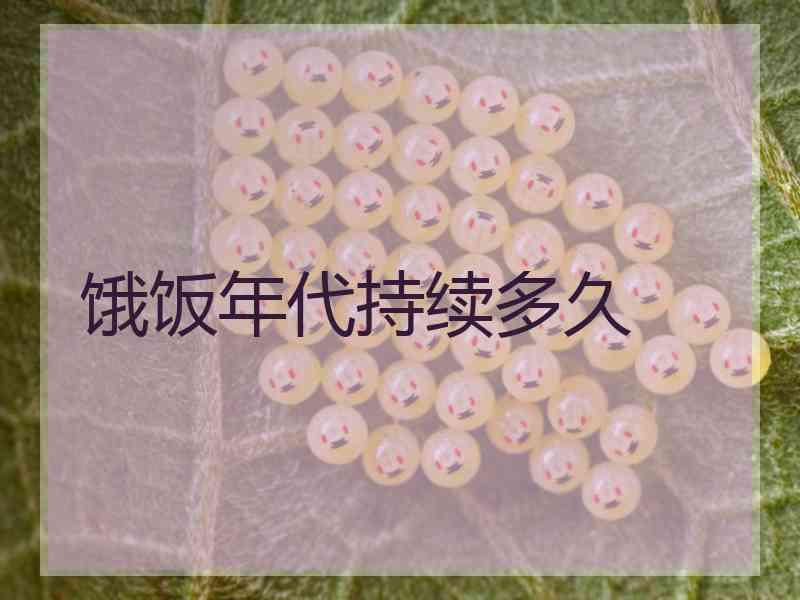 饿饭年代持续多久