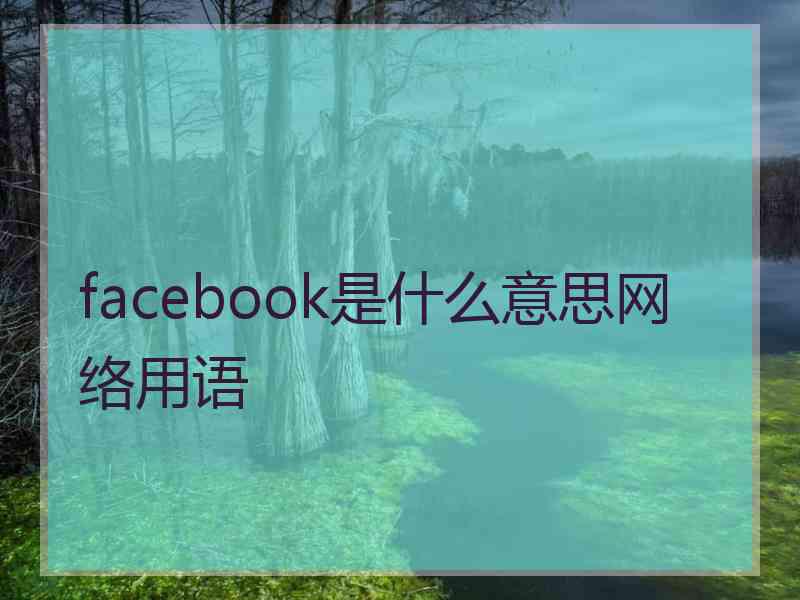 facebook是什么意思网络用语