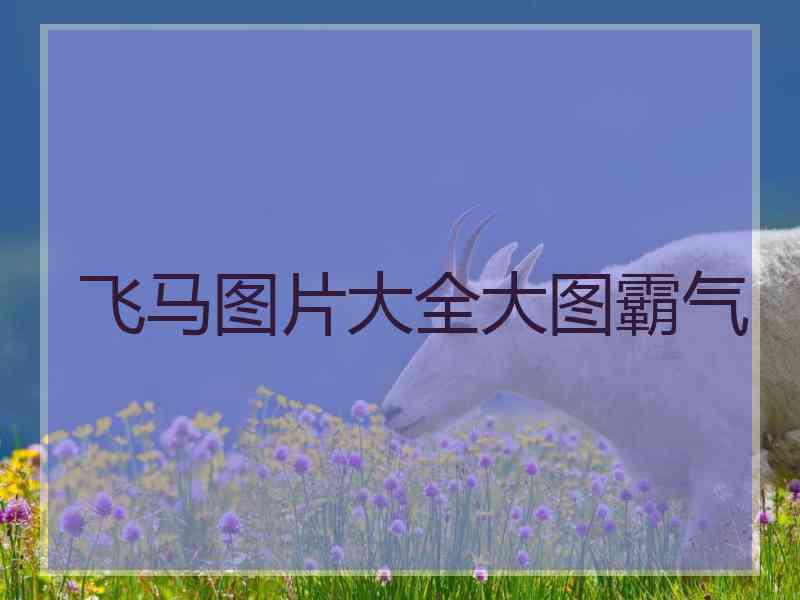 飞马图片大全大图霸气