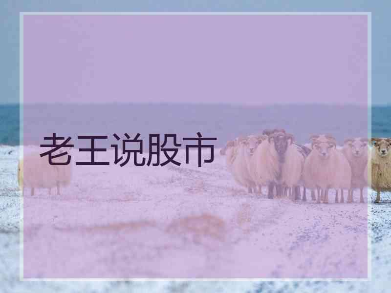 老王说股市
