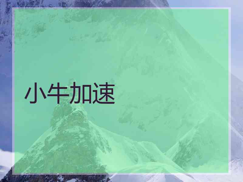 小牛加速