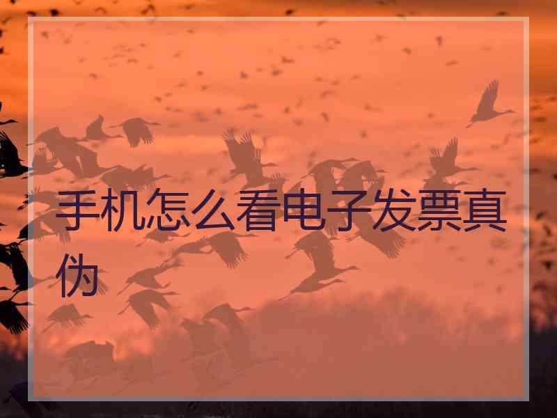 手机怎么看电子发票真伪