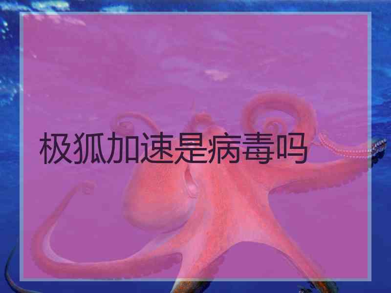极狐加速是病毒吗