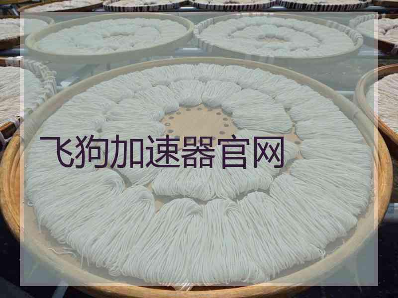 飞狗加速器官网
