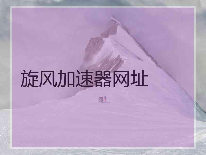 旋风加速器网址