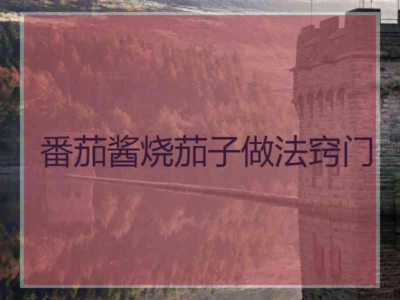 番茄酱烧茄子做法窍门