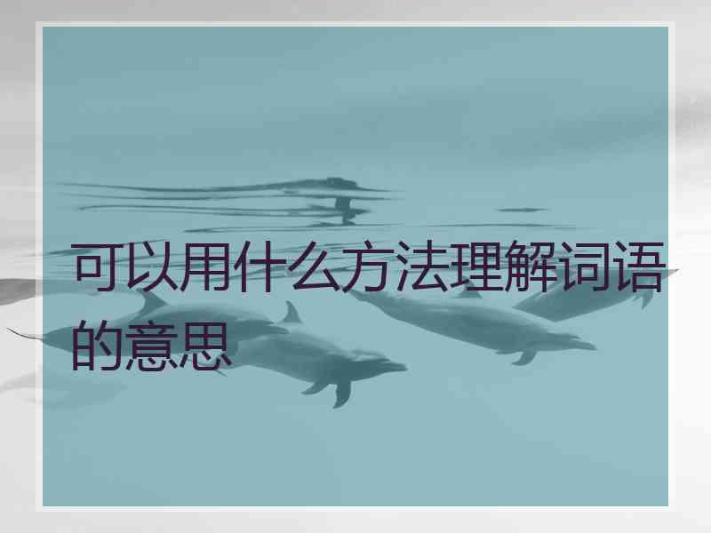 可以用什么方法理解词语的意思