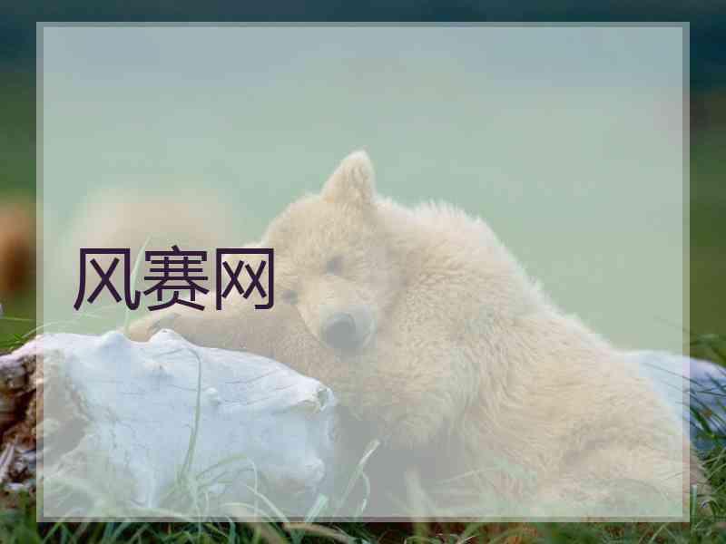 风赛网