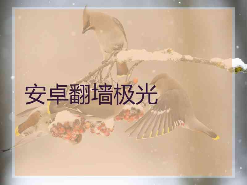 安卓翻墙极光