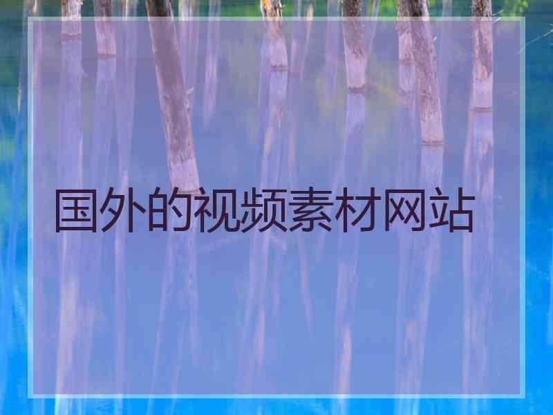 国外的视频素材网站