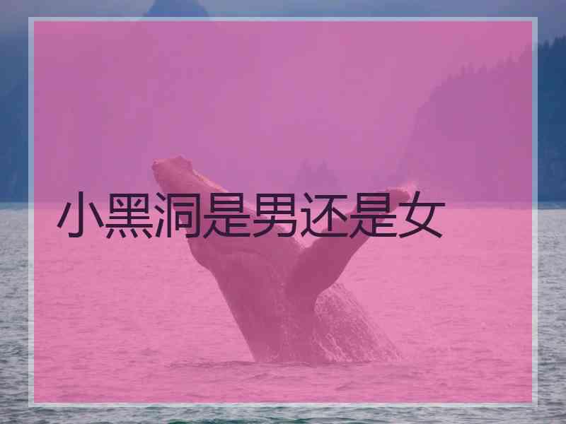小黑洞是男还是女