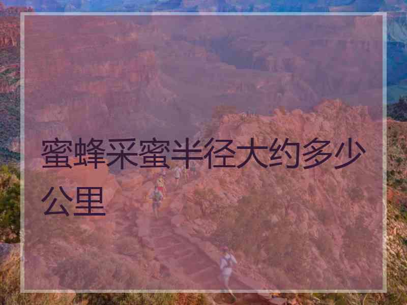 蜜蜂采蜜半径大约多少公里