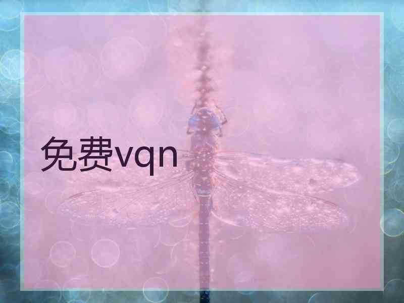 免费vqn