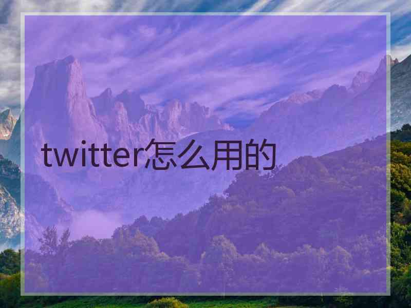 twitter怎么用的