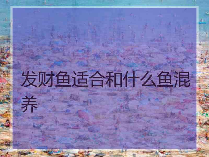 发财鱼适合和什么鱼混养
