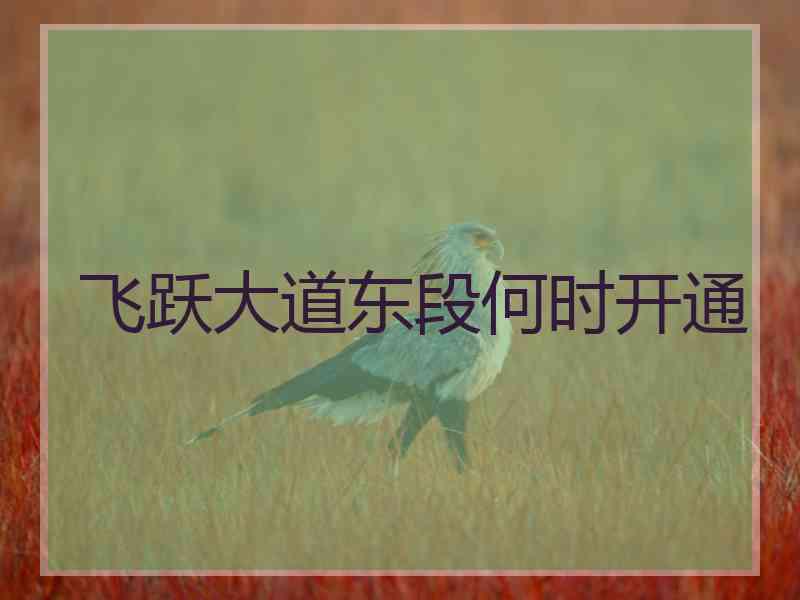 飞跃大道东段何时开通