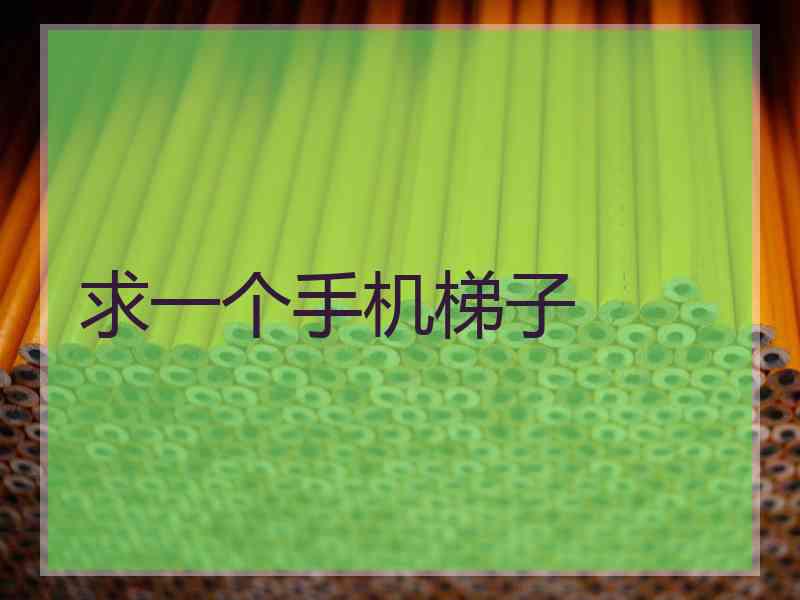 求一个手机梯子
