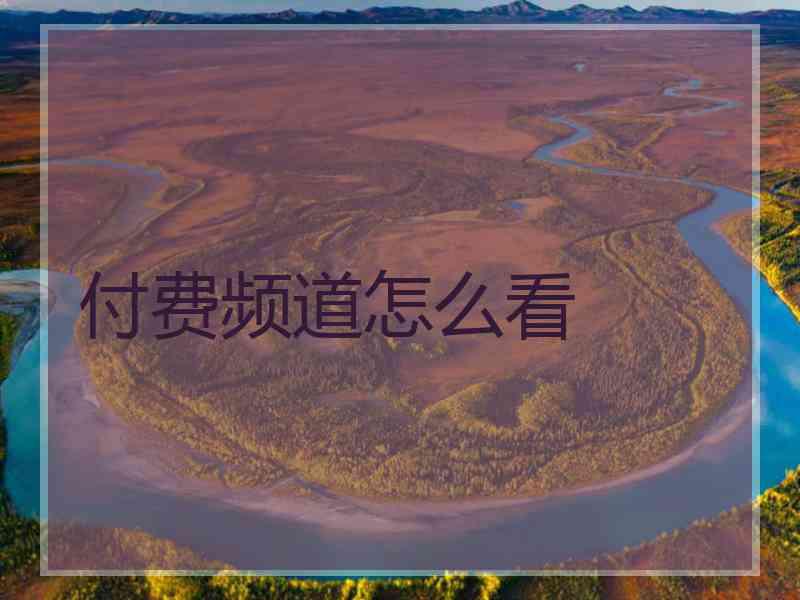 付费频道怎么看