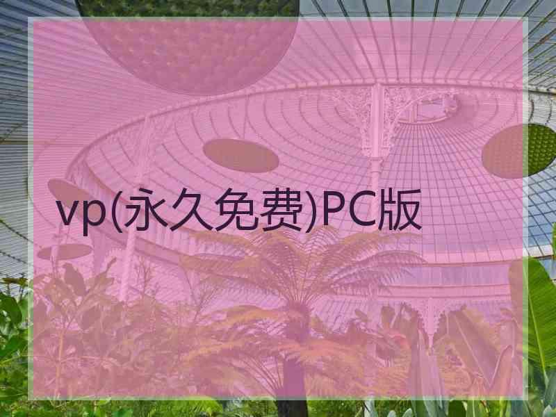 vp(永久免费)PC版