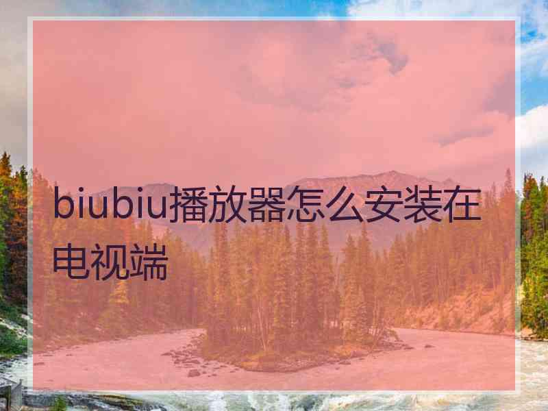 biubiu播放器怎么安装在电视端